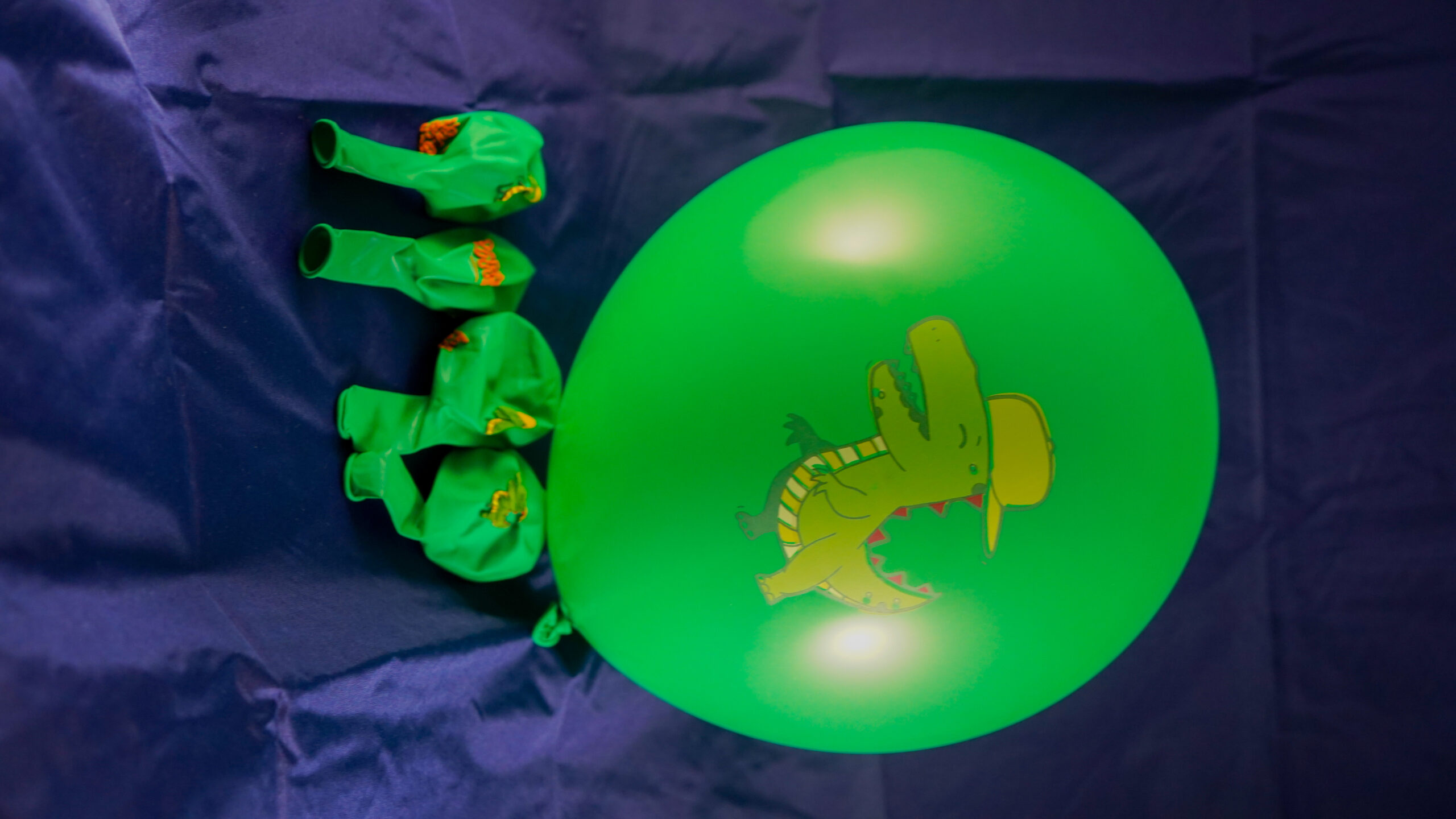 Dinoballon De Feestdoos