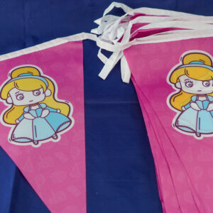 Prinsessesnvlaggen van De Feestdoos