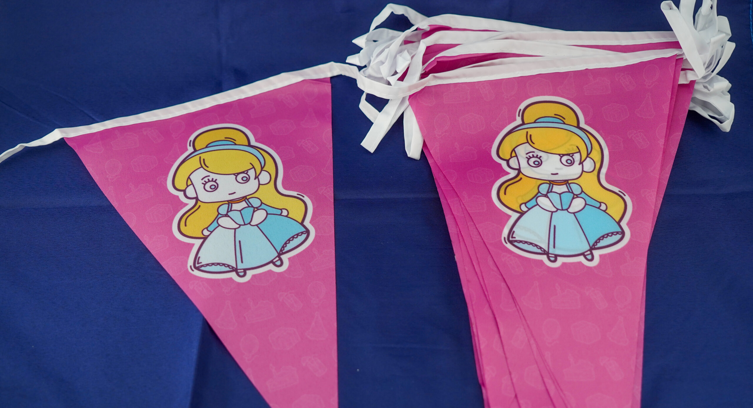 Prinsessesnvlaggen van De Feestdoos